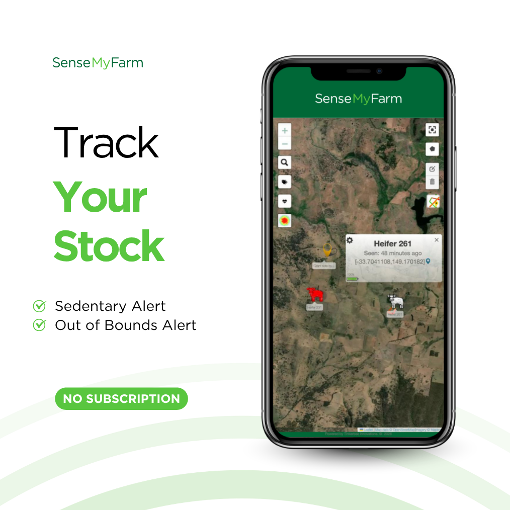 Asset Monitoring
